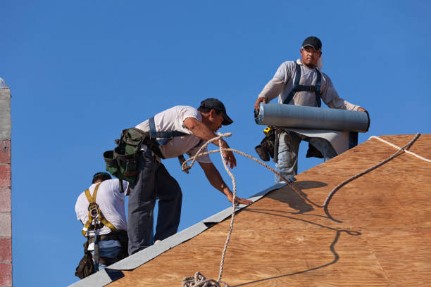 Best Commercial Roofing Services  in Brinkley, AR