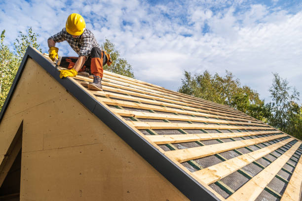 Best Roof Gutter Cleaning  in Brinkley, AR